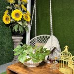http://image_01