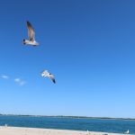 http://cover_image