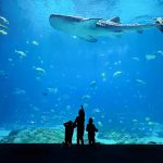 http://image_01