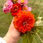 http://image_01